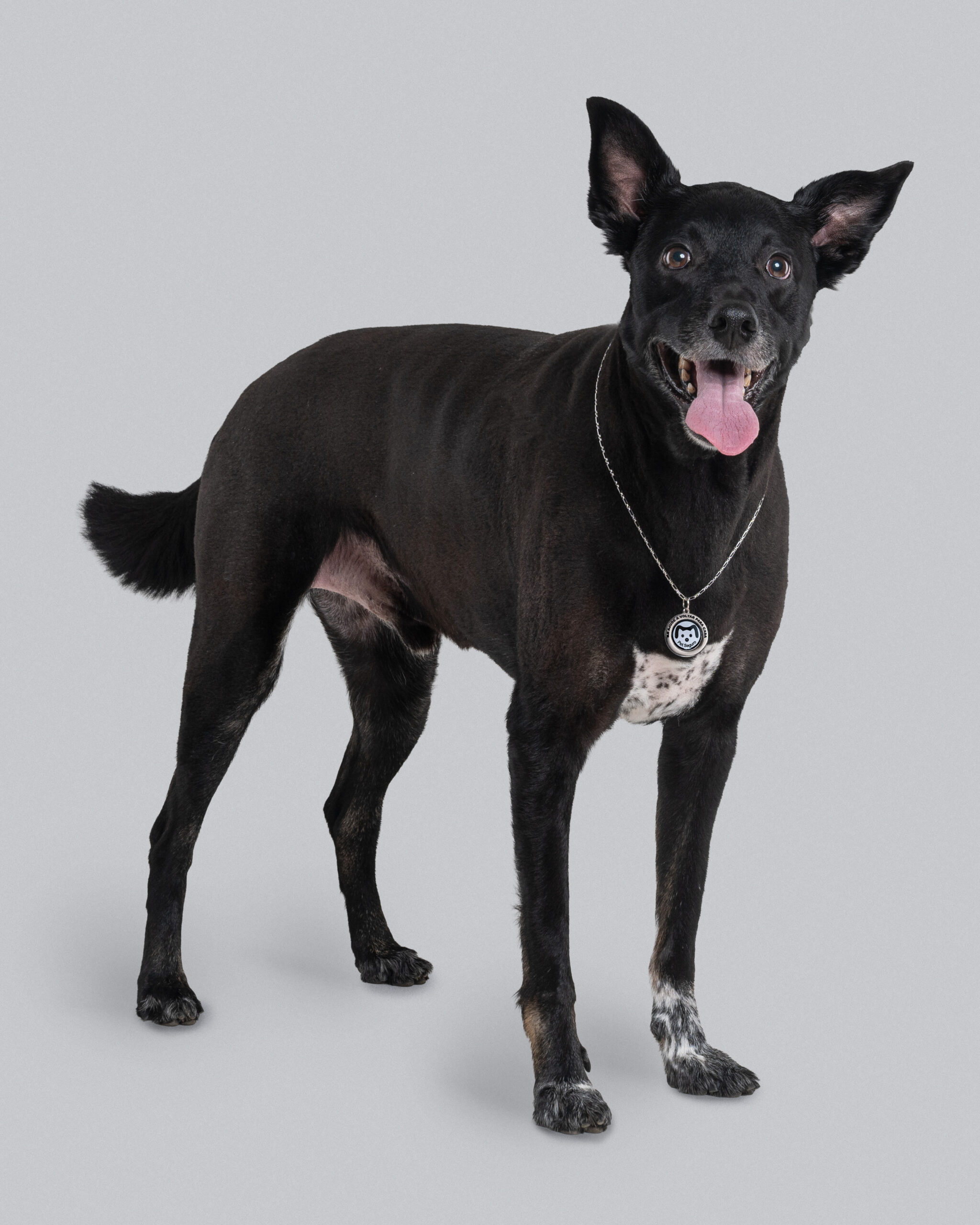 A correntinha na foto é apenas decorativa.​